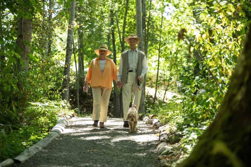 Seniors Walking Dogs