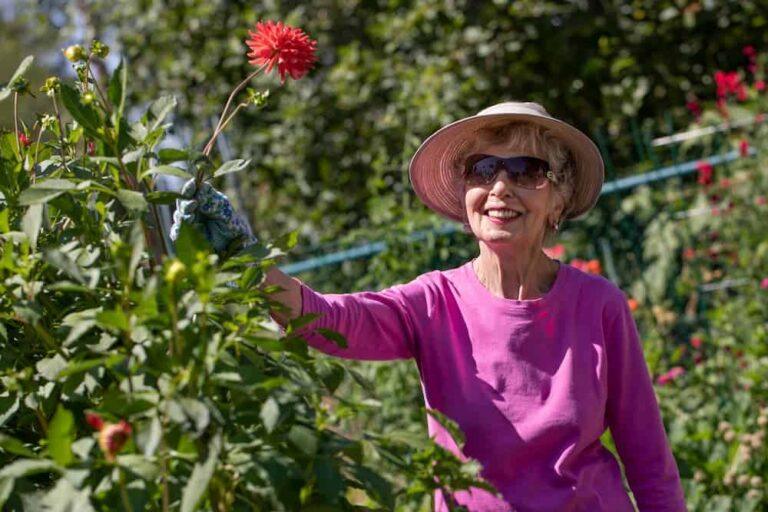 healthy aging advice for seniors