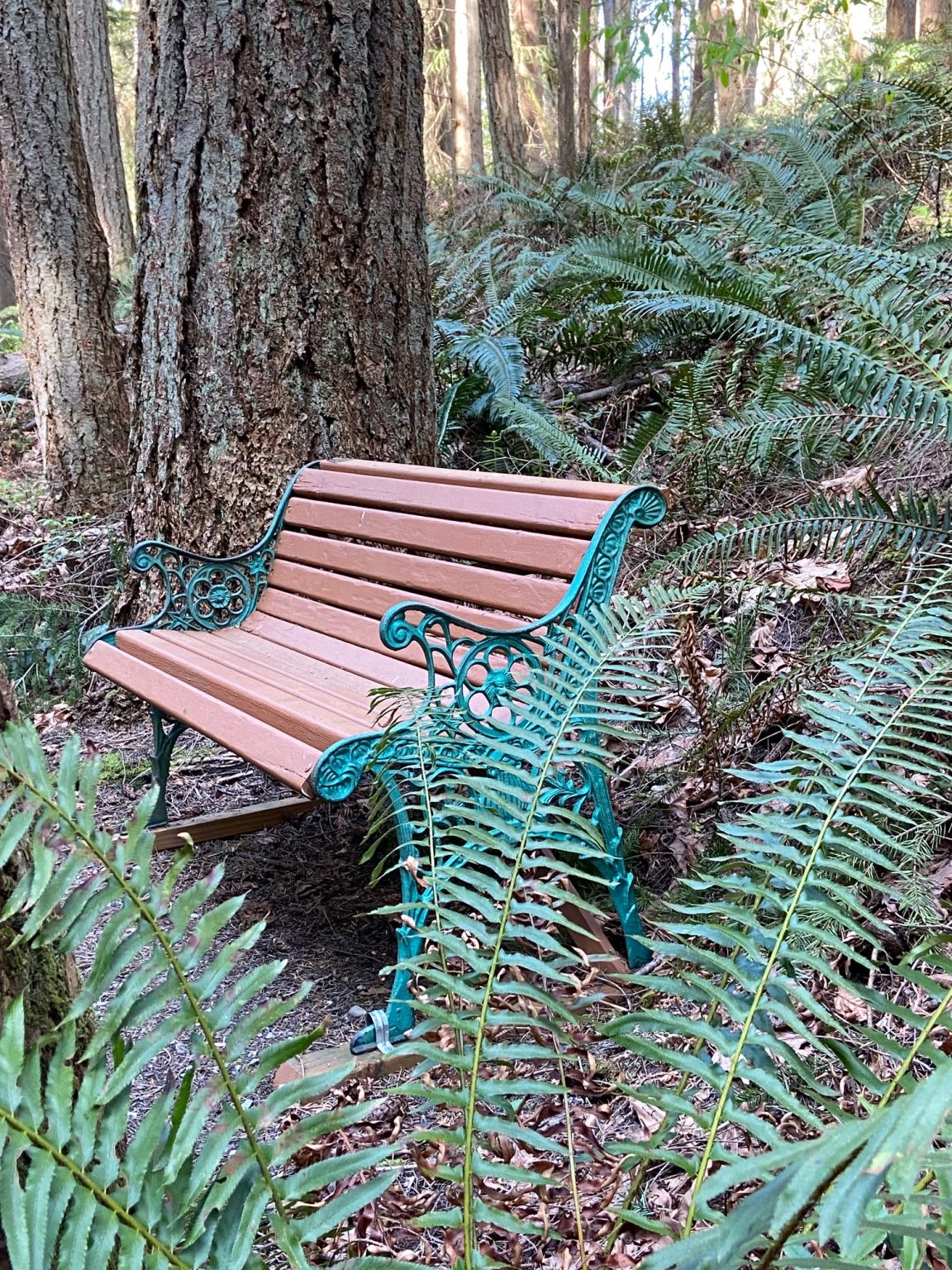 Change the Pace with Nature Trails in Redmond, WA | Emerald Heights